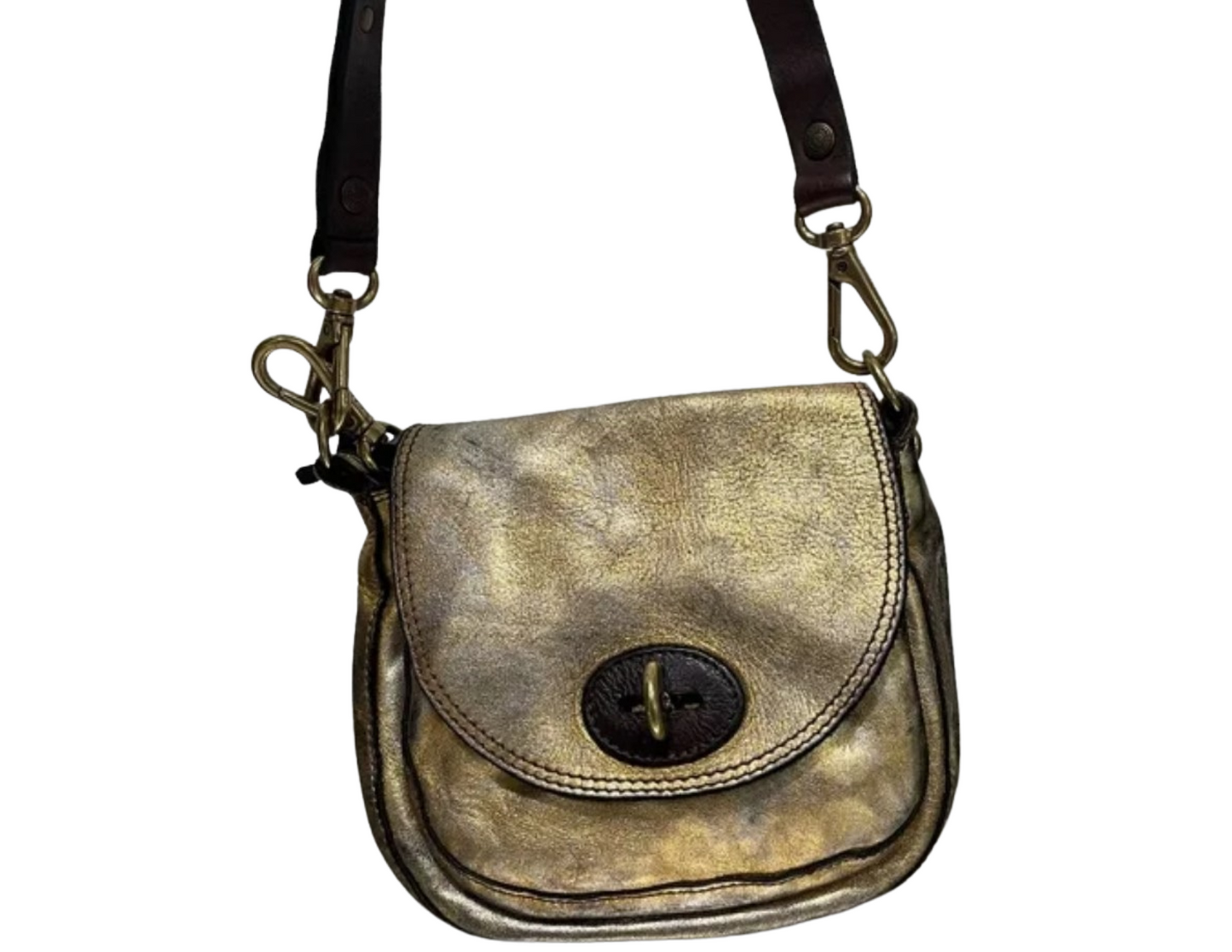 Gold Metallic Leather Campomaggi Bag